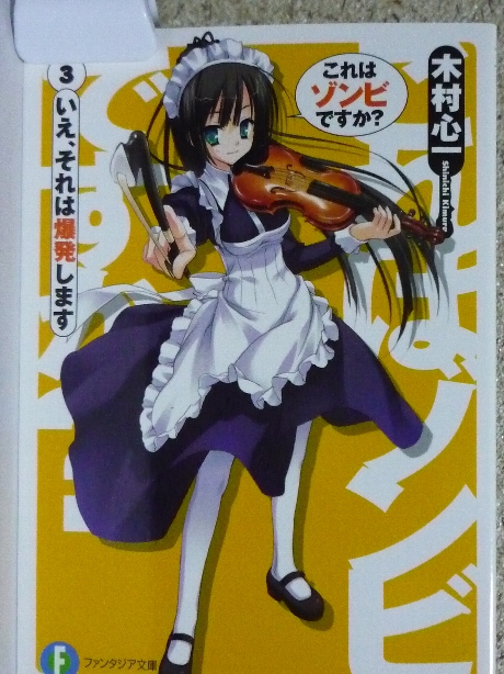 これはゾンビですか？３　木村心一(著)